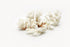 natural brown and white coral 1 kg